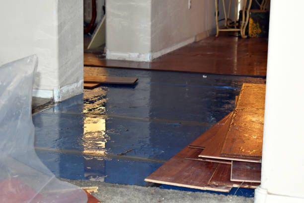 Professional Water Removal technician working in Hull, MA
